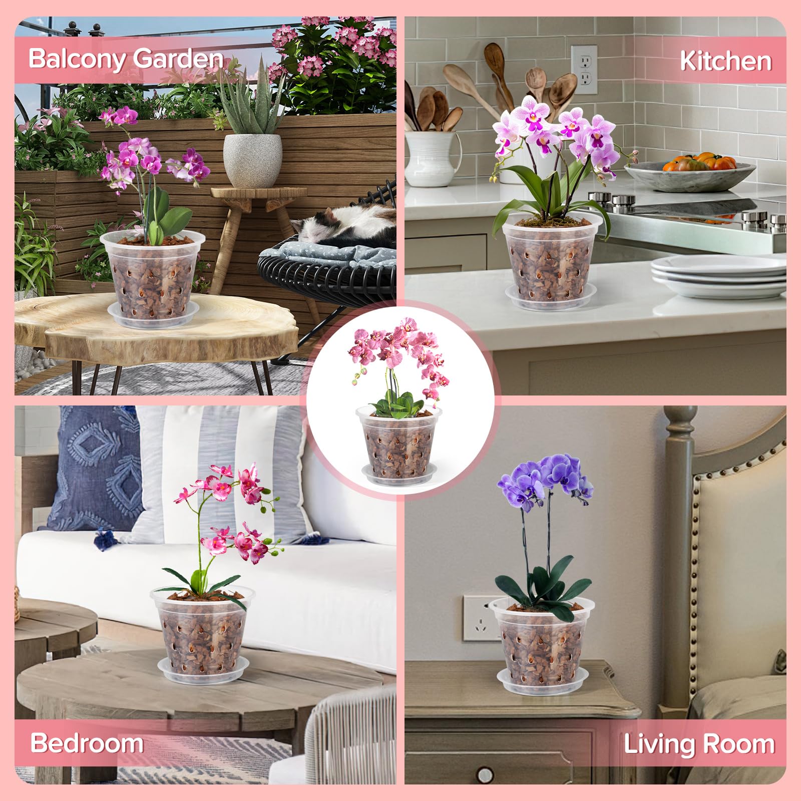 FUIJOL orchid pots displaying root health