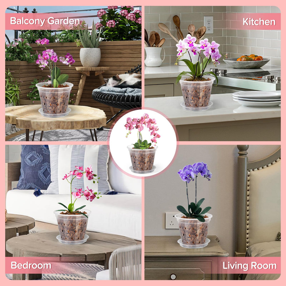 FUIJOL orchid pots displaying root health