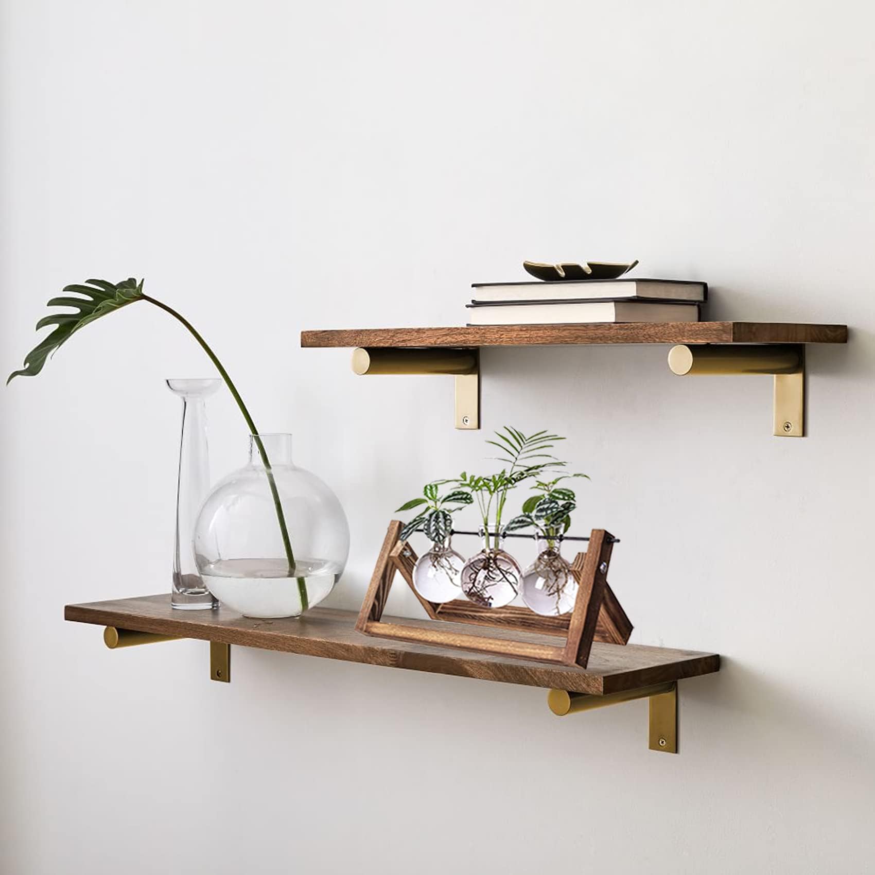 Full view of Kingbuy Plant Propagation Station on a windowsill