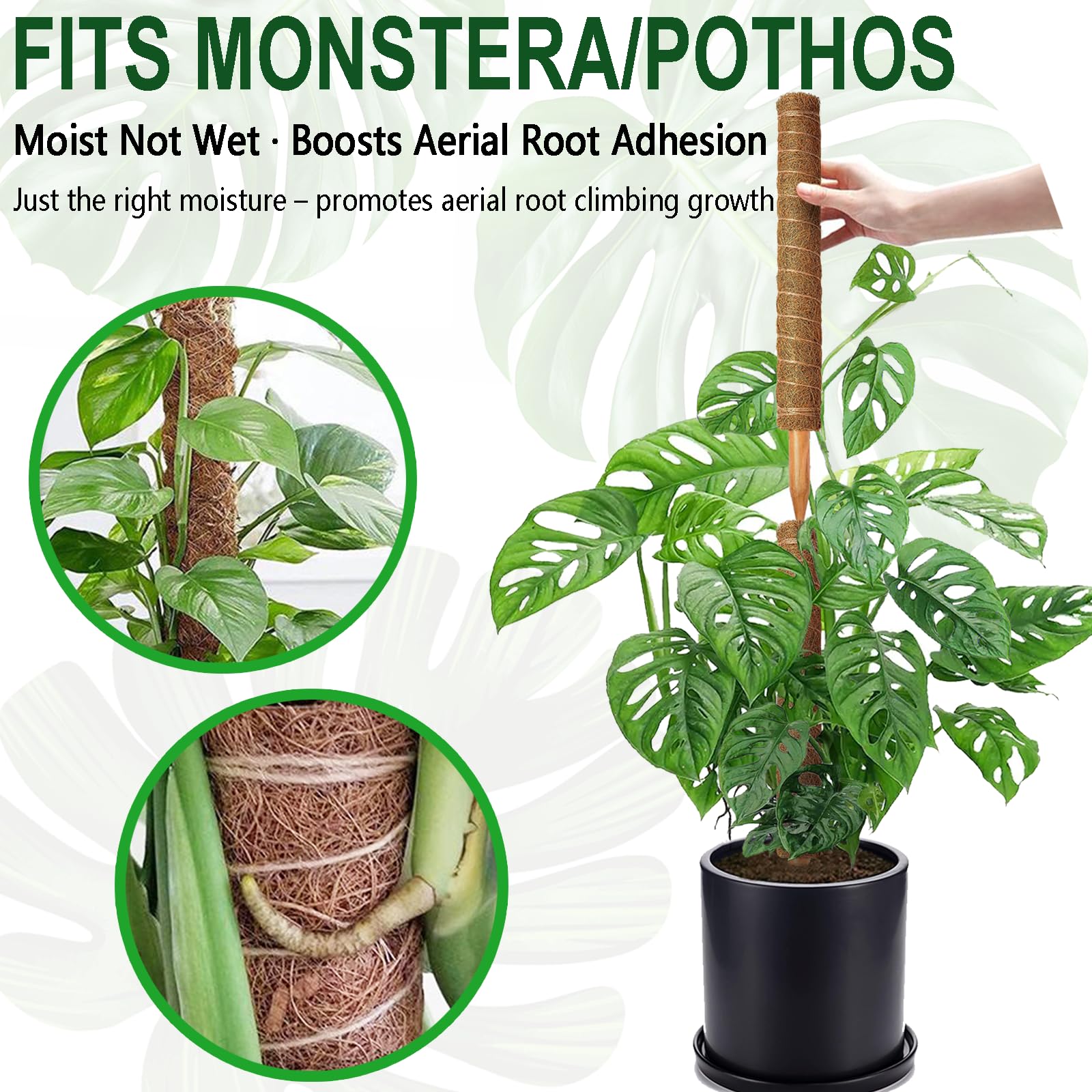 Full view of Soupiar 4 Pack Moss Poles in garden setting
