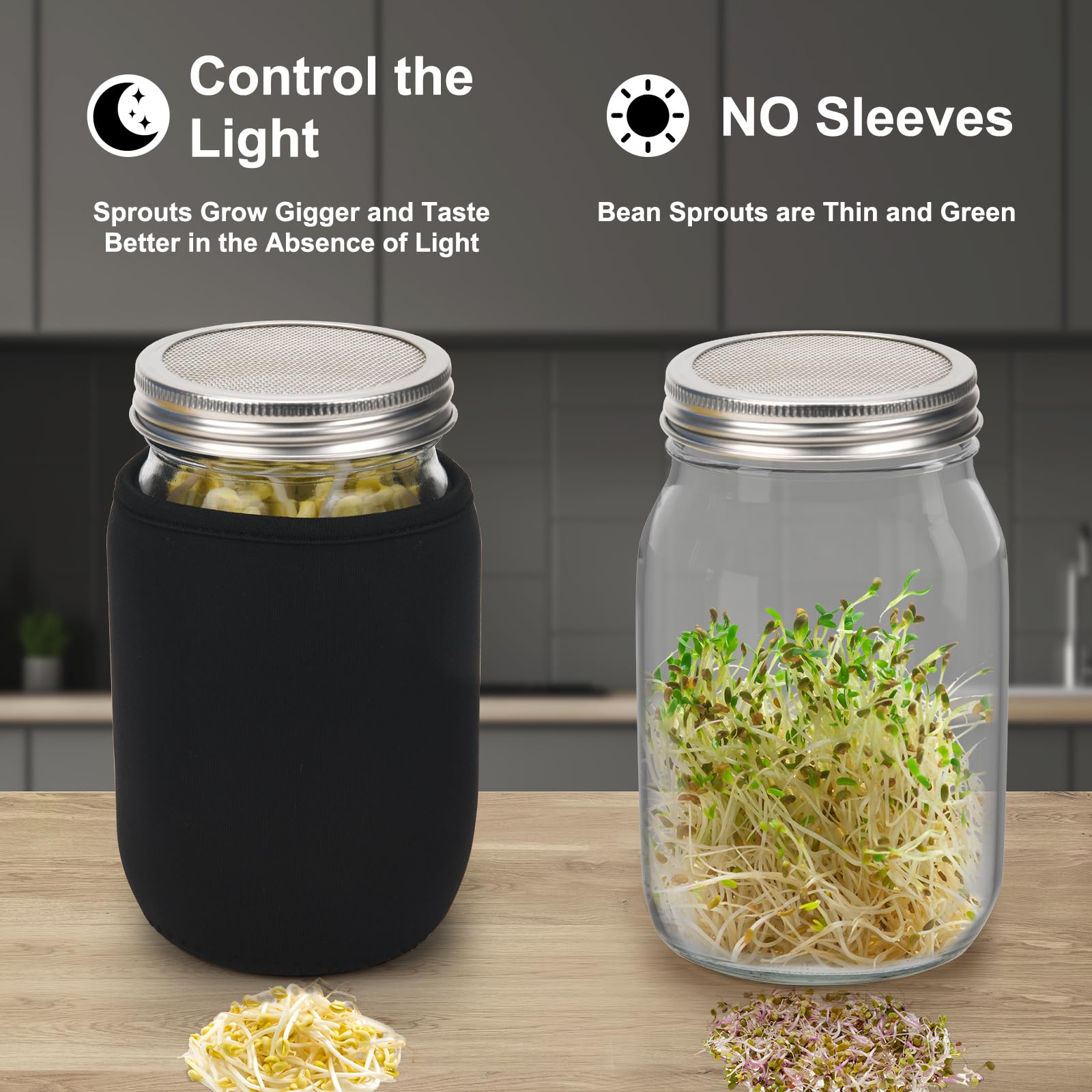 Full view of the Lulonpon sprouting kit components on a countertop