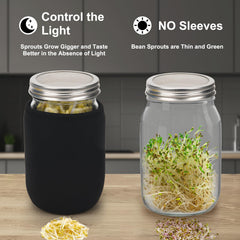 Full view of the Lulonpon sprouting kit components on a countertop