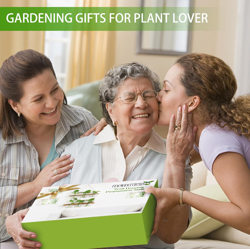 Full view of the Renmxj Plant Propagation Station in a living room