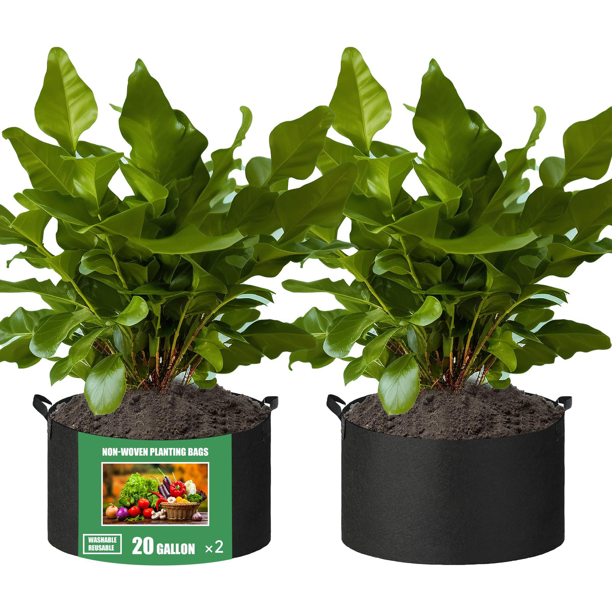 FVOTNW 2-Pack 20 Gallon Fabric Grow Bags, black color, front view