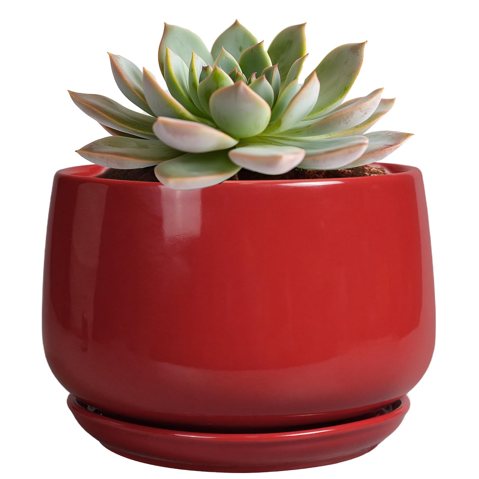 G EPGardening 6 Inch Ceramic Plant Pot front view in red