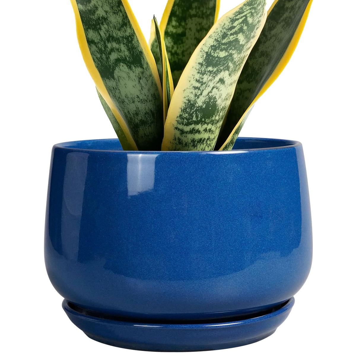 G EPGardening 7 Inch Blue Ceramic Plant Pot front view