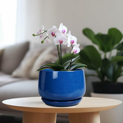 G EPGardening 7 Inch Blue Ceramic Plant Pot with drainage mesh