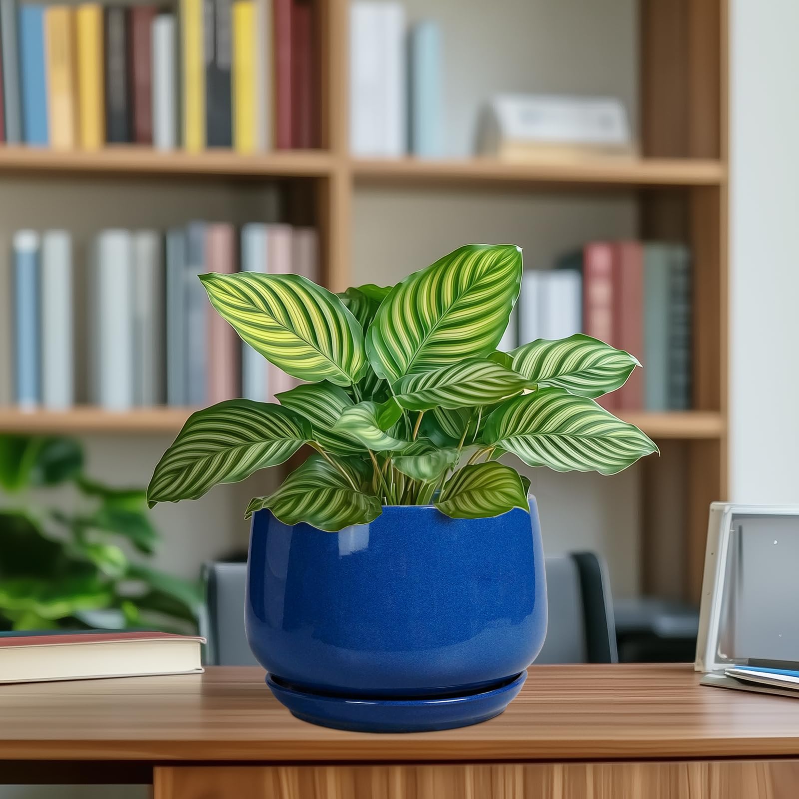 G EPGardening 7 Inch Ceramic Plant Pot showing dimensions