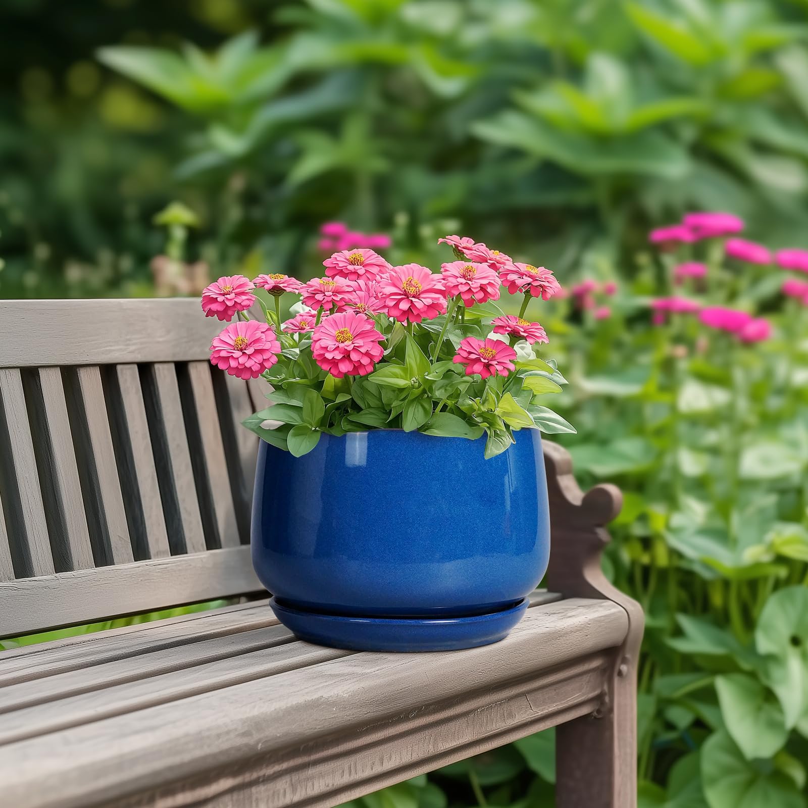 G EPGardening Blue Ceramic Plant Pot on a windowsill with plants