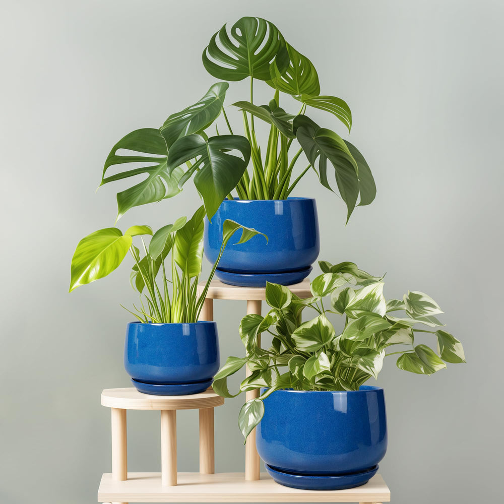G EPGardening Blue Plant Pot displayed in a garden