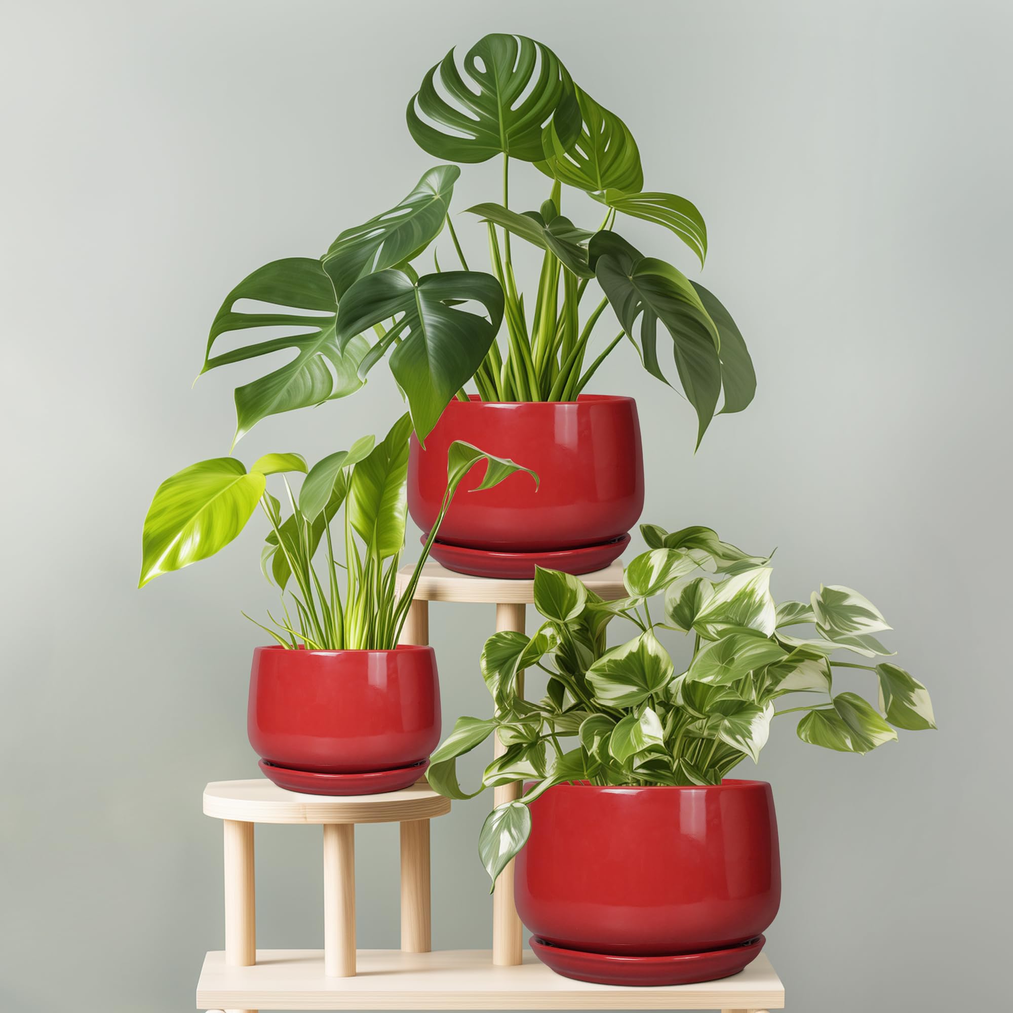 G EPGardening Ceramic Plant Pot in a home office setting