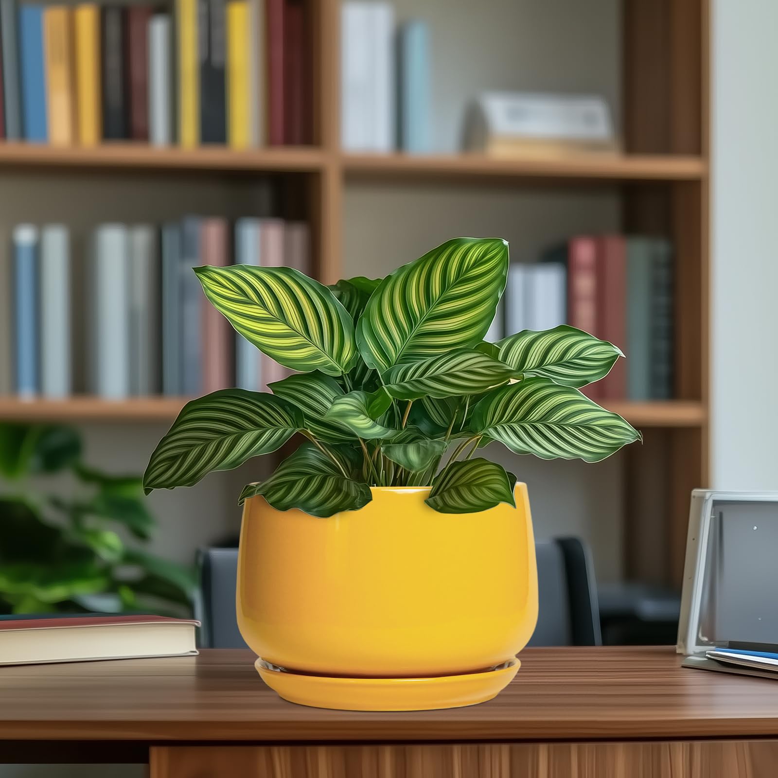 G EPGardening ceramic plant pot with multiple indoor plants