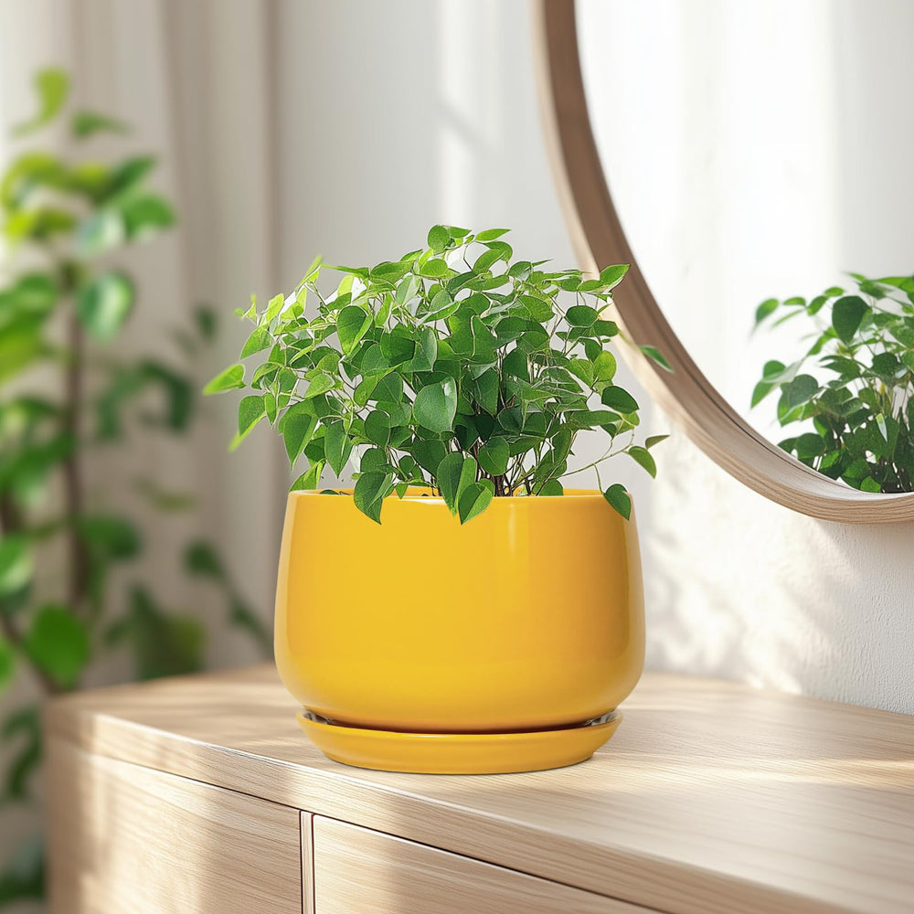 G EPGardening ceramic pot showcasing drainage mesh