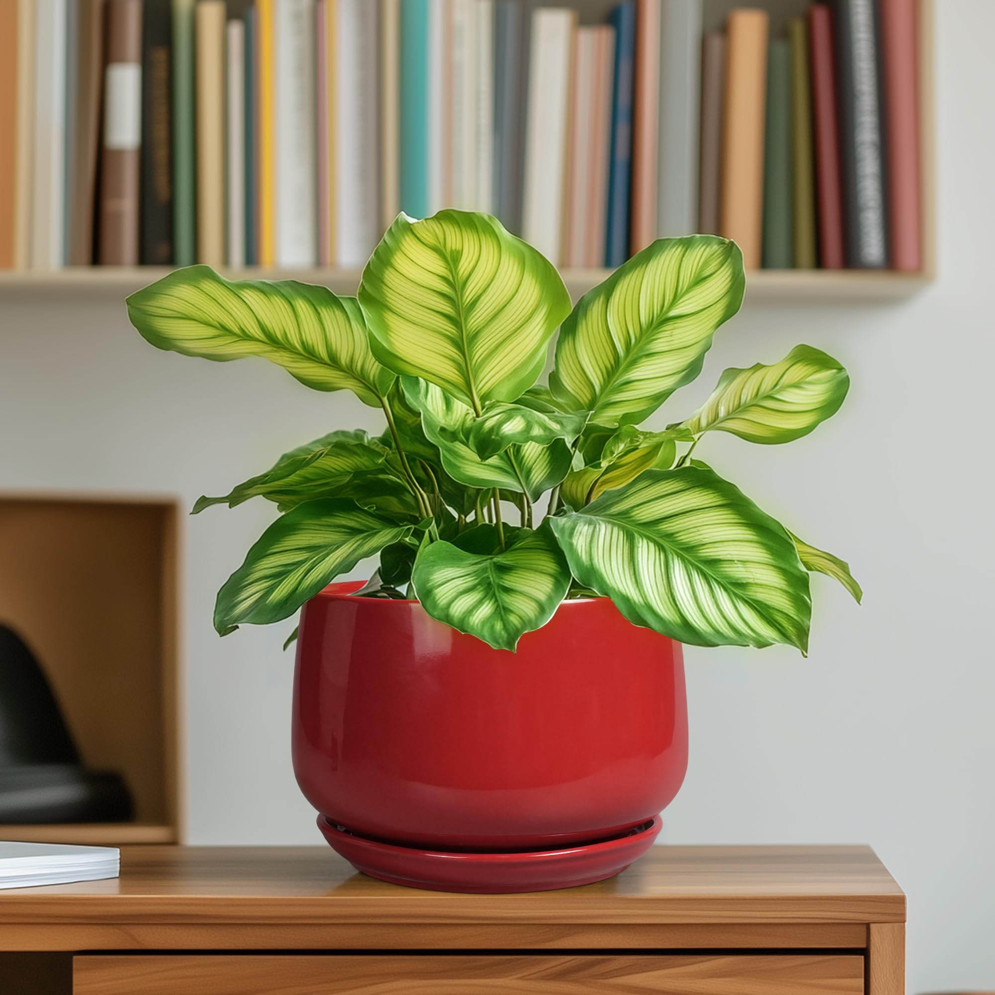 G EPGardening plant pot placed on a living room table