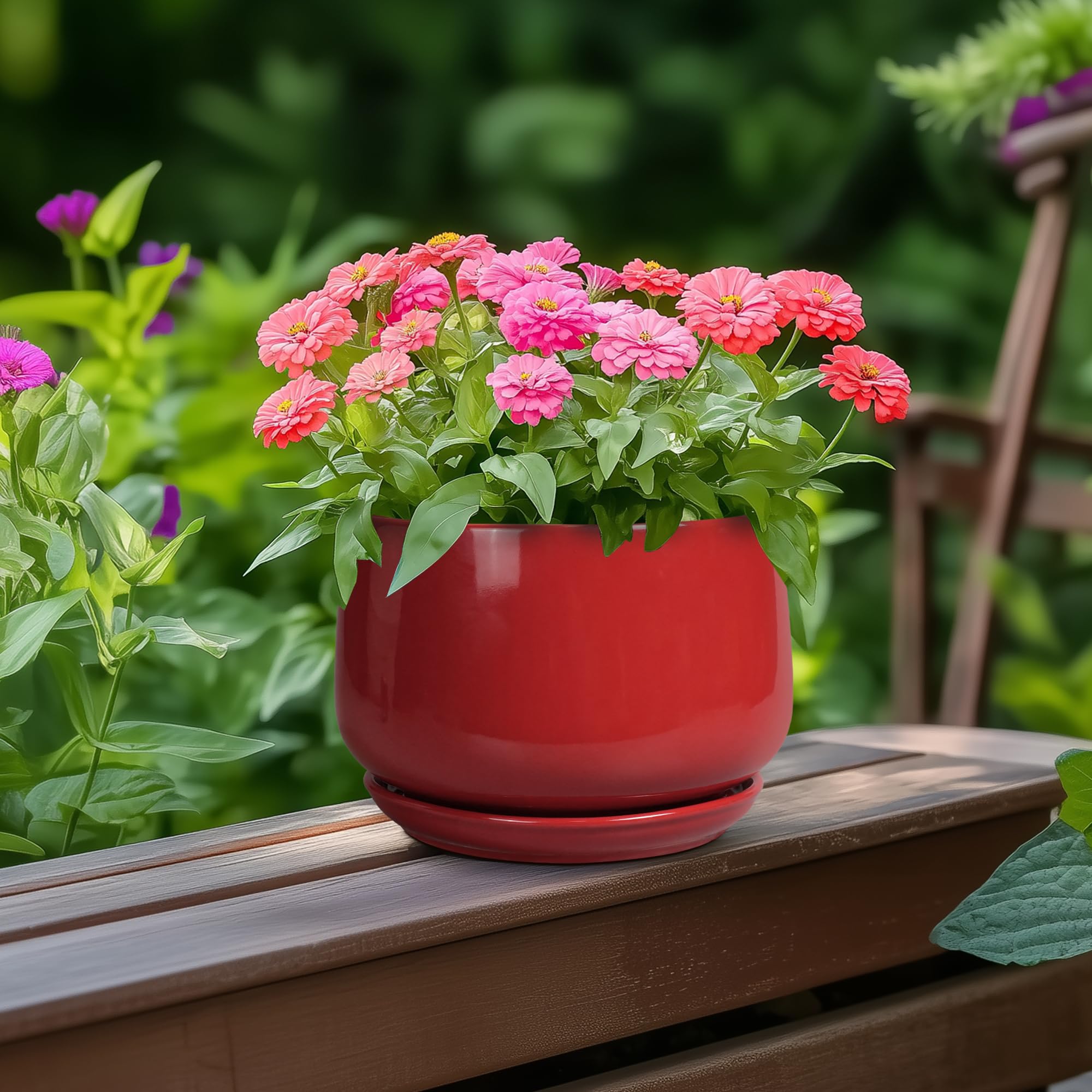 G EPGardening planter with succulent plant inside