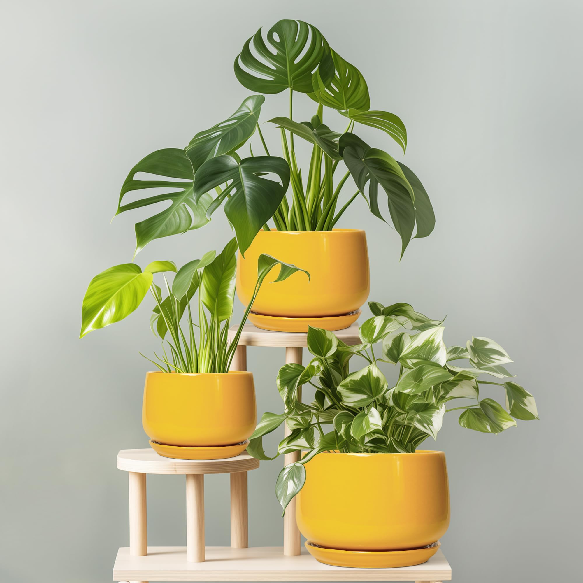 G EPGardening yellow planter with office decor background
