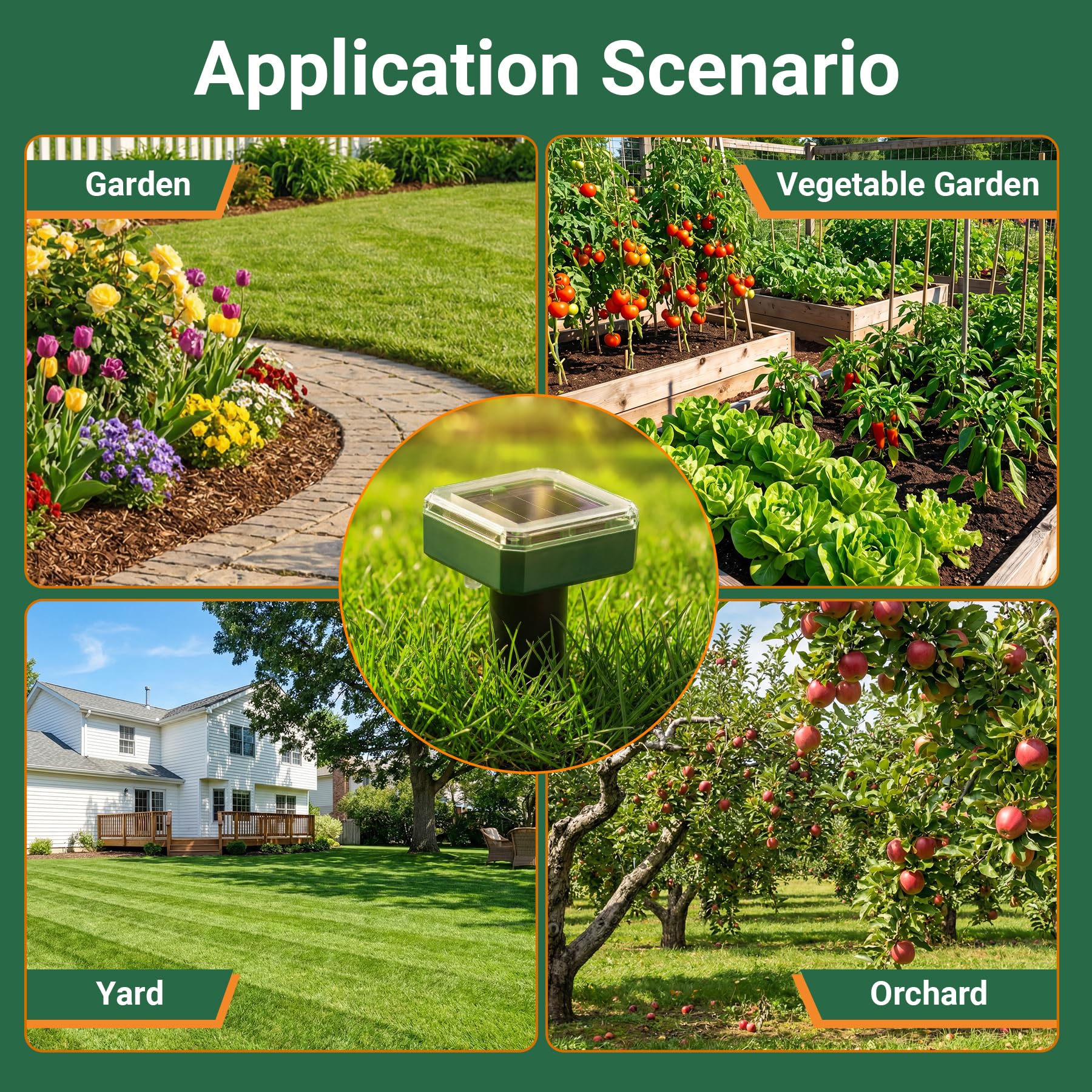 G-Jyuncyou Solar Mole Repellent Installation in Yard