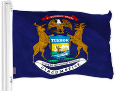 G128 Michigan State Flag front view 3x5 ft in vibrant colours
