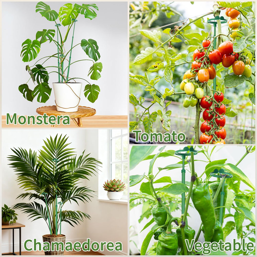 GAGINANG plant stakes displayed with packaging and accessories