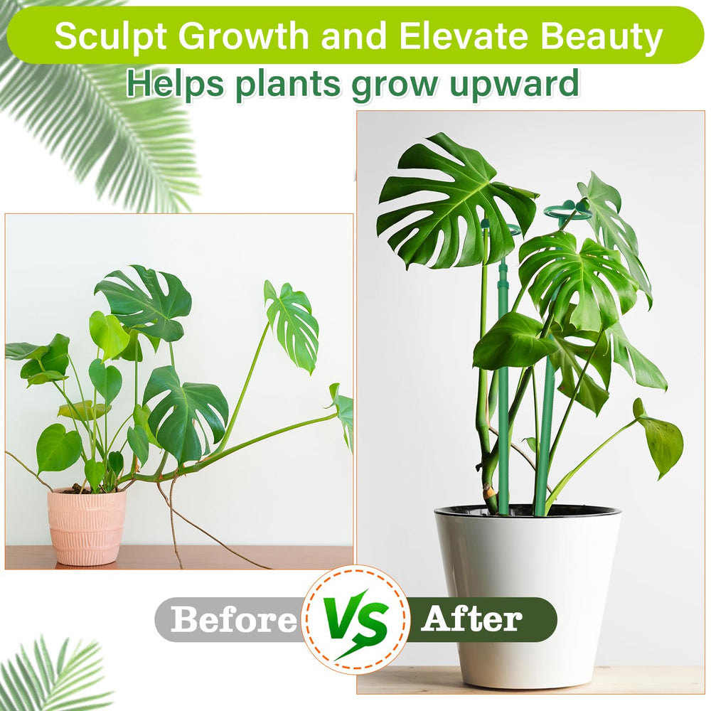 GAGINANG plant stakes supporting a Monstera plant in a pot