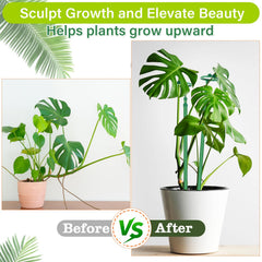 GAGINANG plant stakes supporting a Monstera plant in a pot