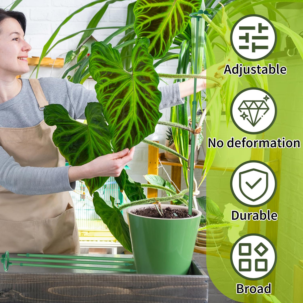 GAGINANG plant stakes with a green tie securing a tomato plant
