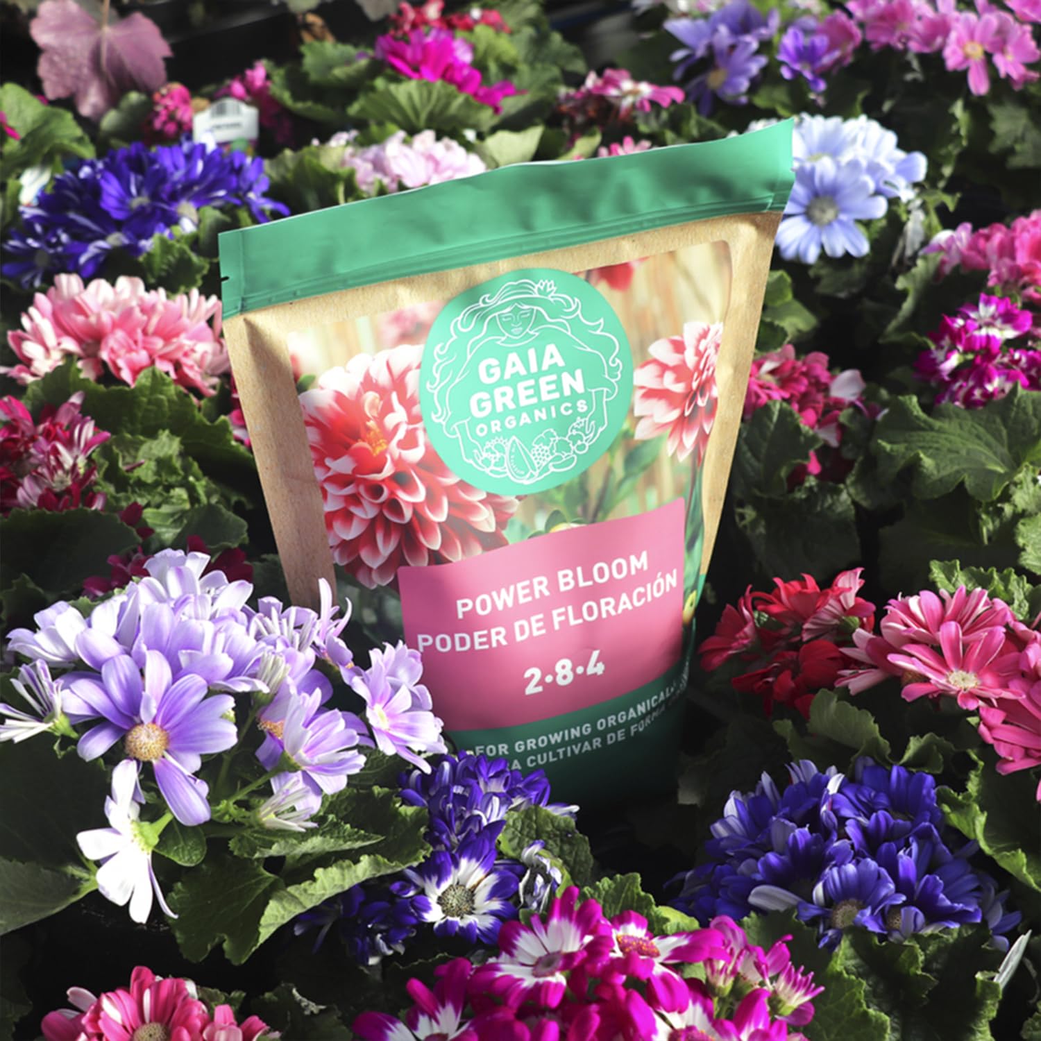 Gaia Green Power Bloom Organic Fertilizer used in flower bed