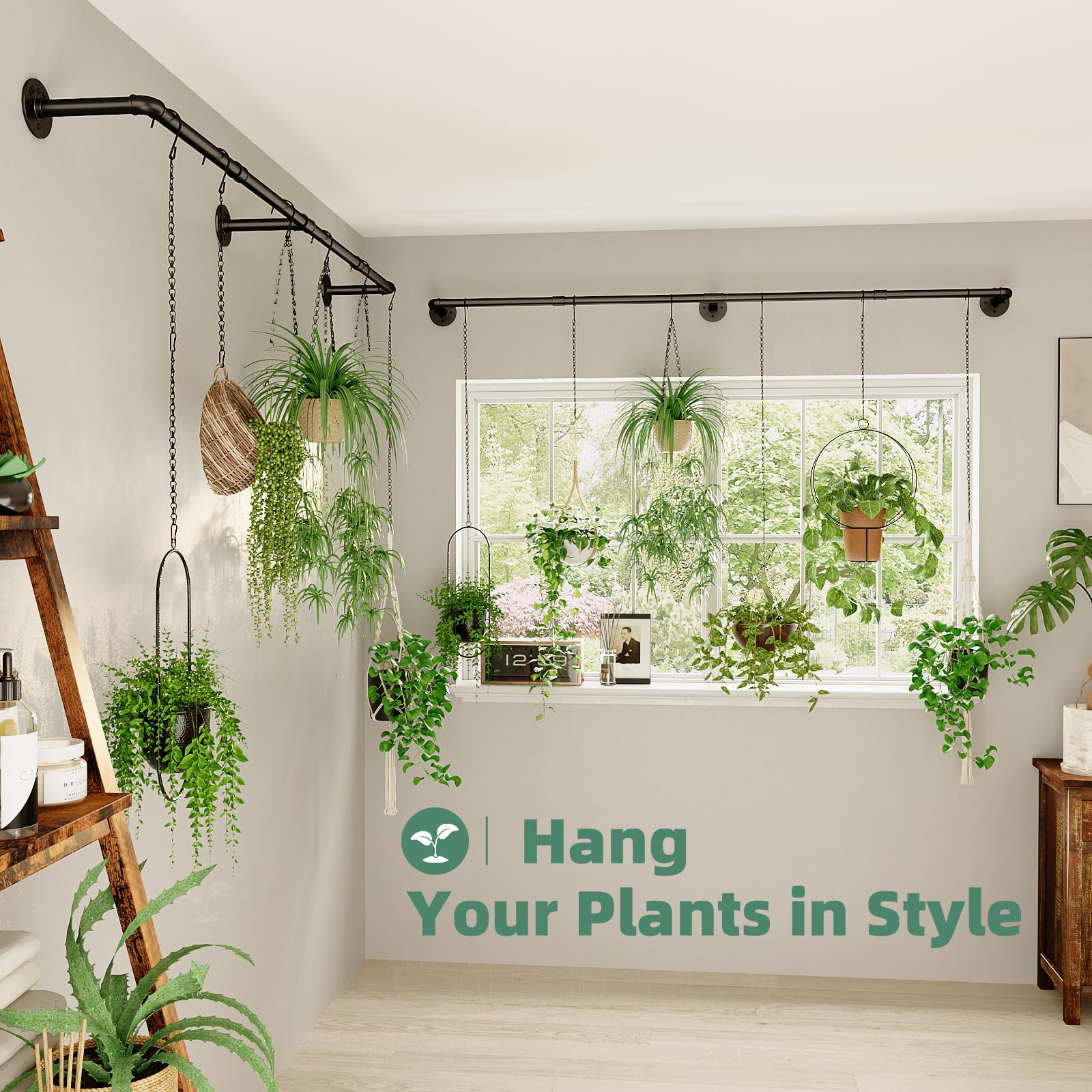 Galood Hanging Planters displaying various plant arrangements