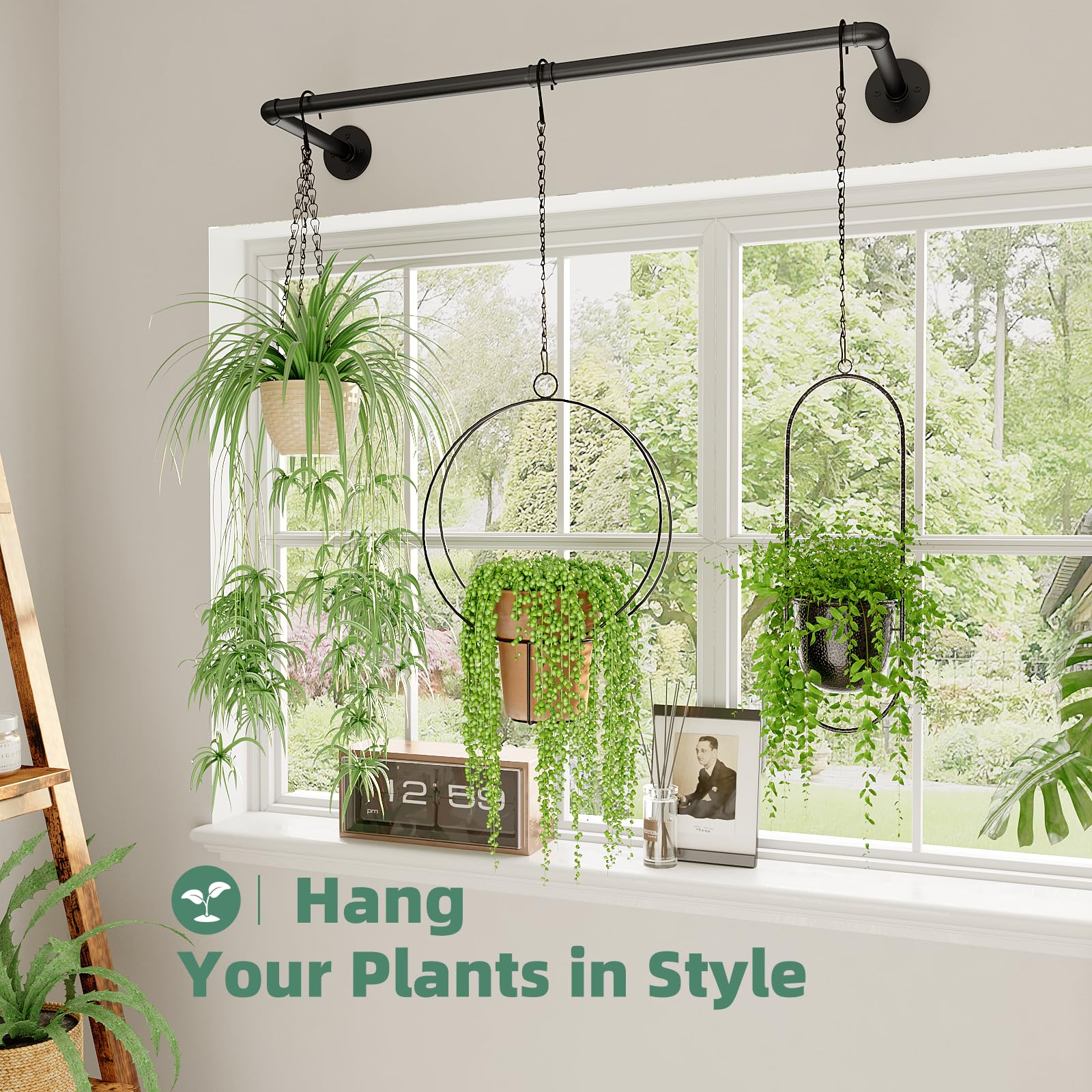 Galood Plant Hanger with hanging plants displayed