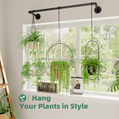 Galood Plant Hanger with hanging plants displayed