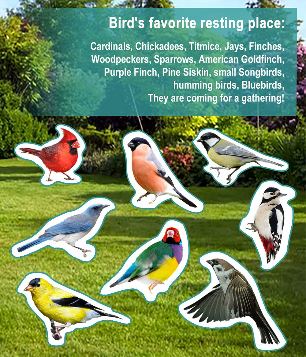 Garbuildman birdbath product packaging