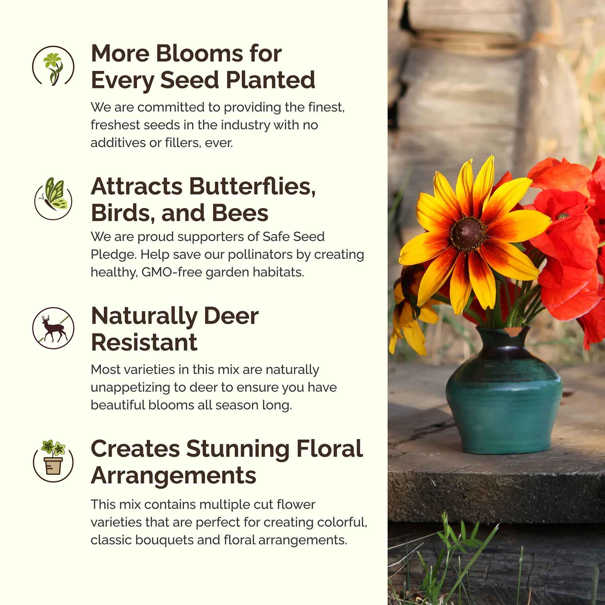 Garden bed with vibrant wildflowers grown from Eden Brothers seeds