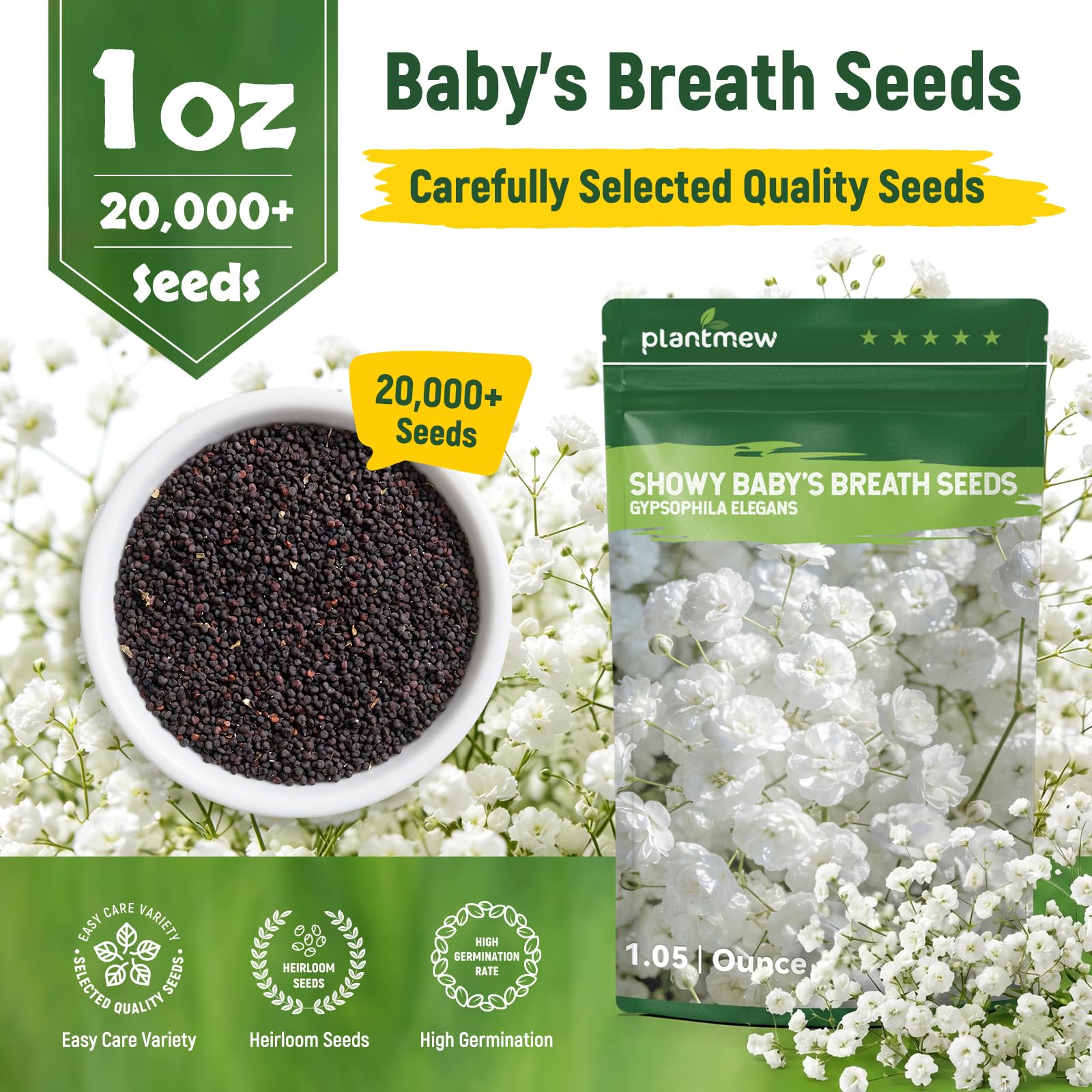 Garden filled with Baby's Breath flowers