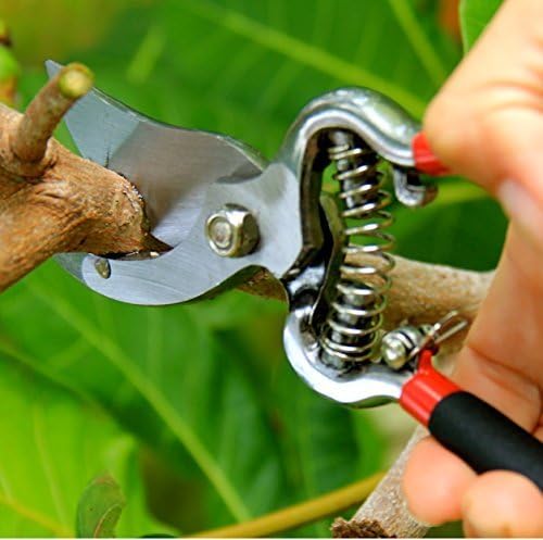 Garden Guru Classic Bypass Pruning Shears showing safety lock feature
