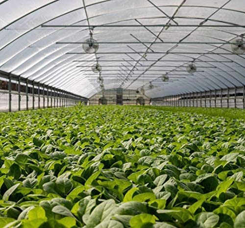 Garden Insect Netting rolled up for storage