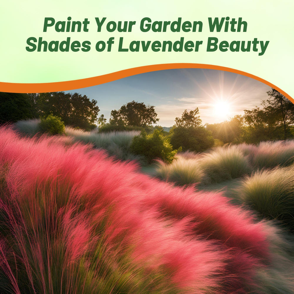 Garden landscape featuring Ruby Muhly Grass