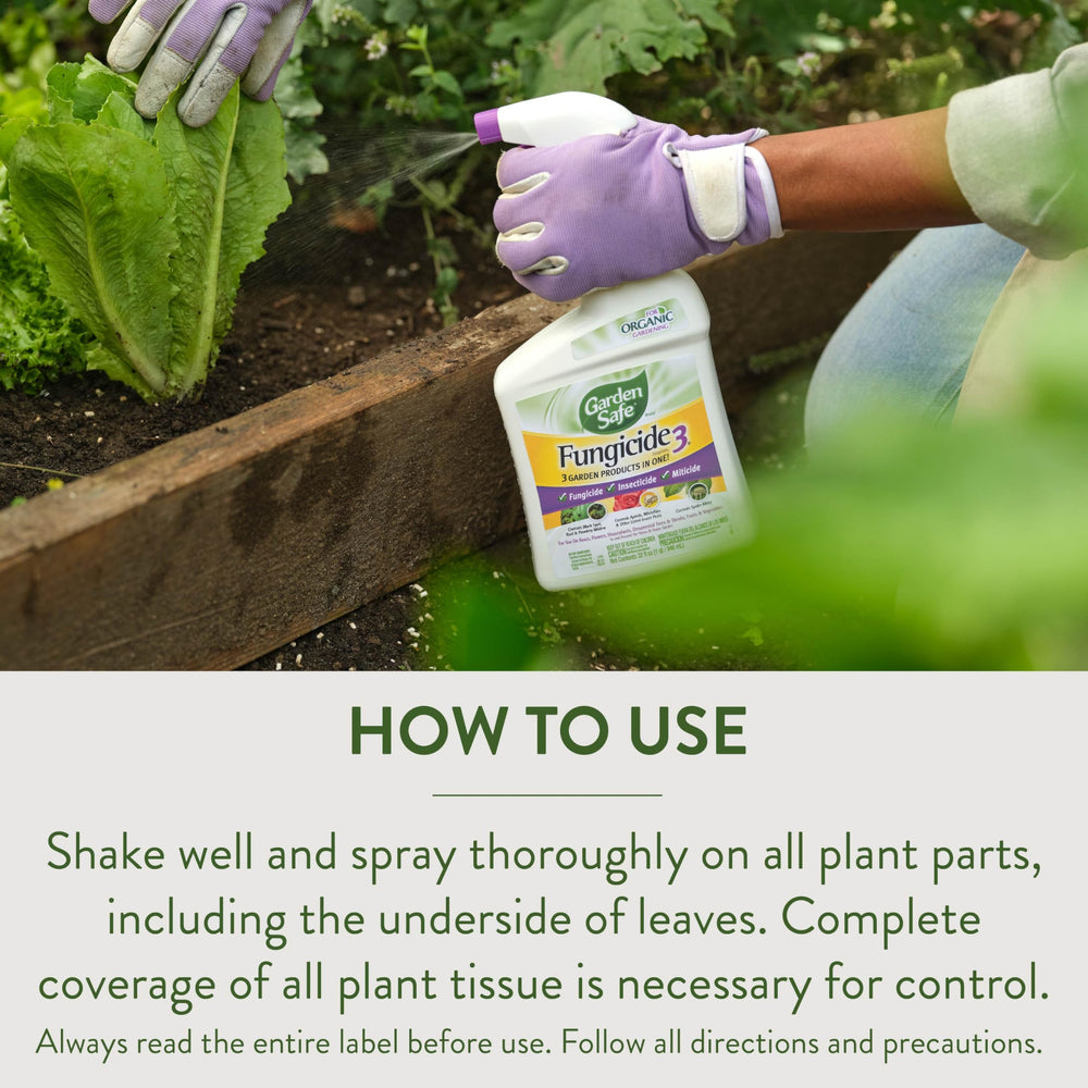 Garden Safe Fungicide 3 displayed on a garden table