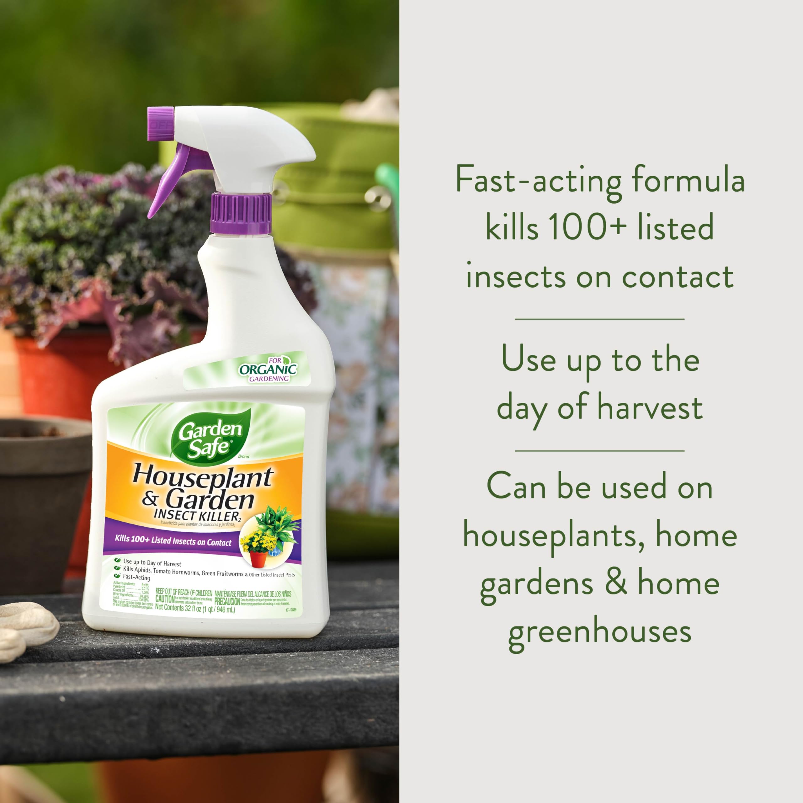Garden Safe Insect Killer back label with usage instructions