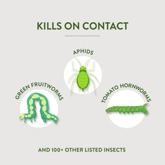 Garden Safe insect killer in use on tomato plants