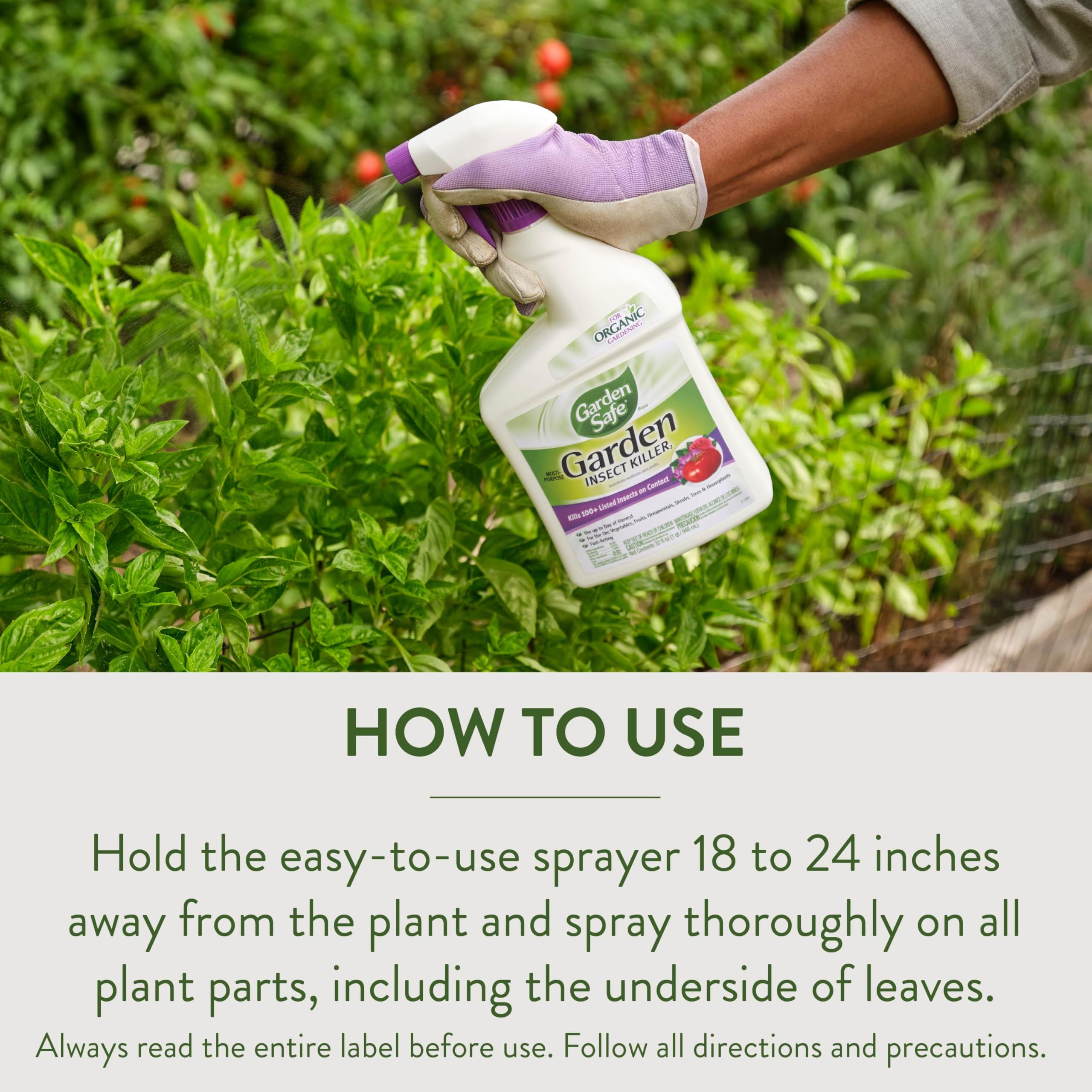 Garden Safe Multi-Purpose Insect Killer packaging details