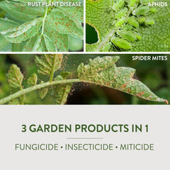 Garden Safe Neem Oil Extract Concentrate back label