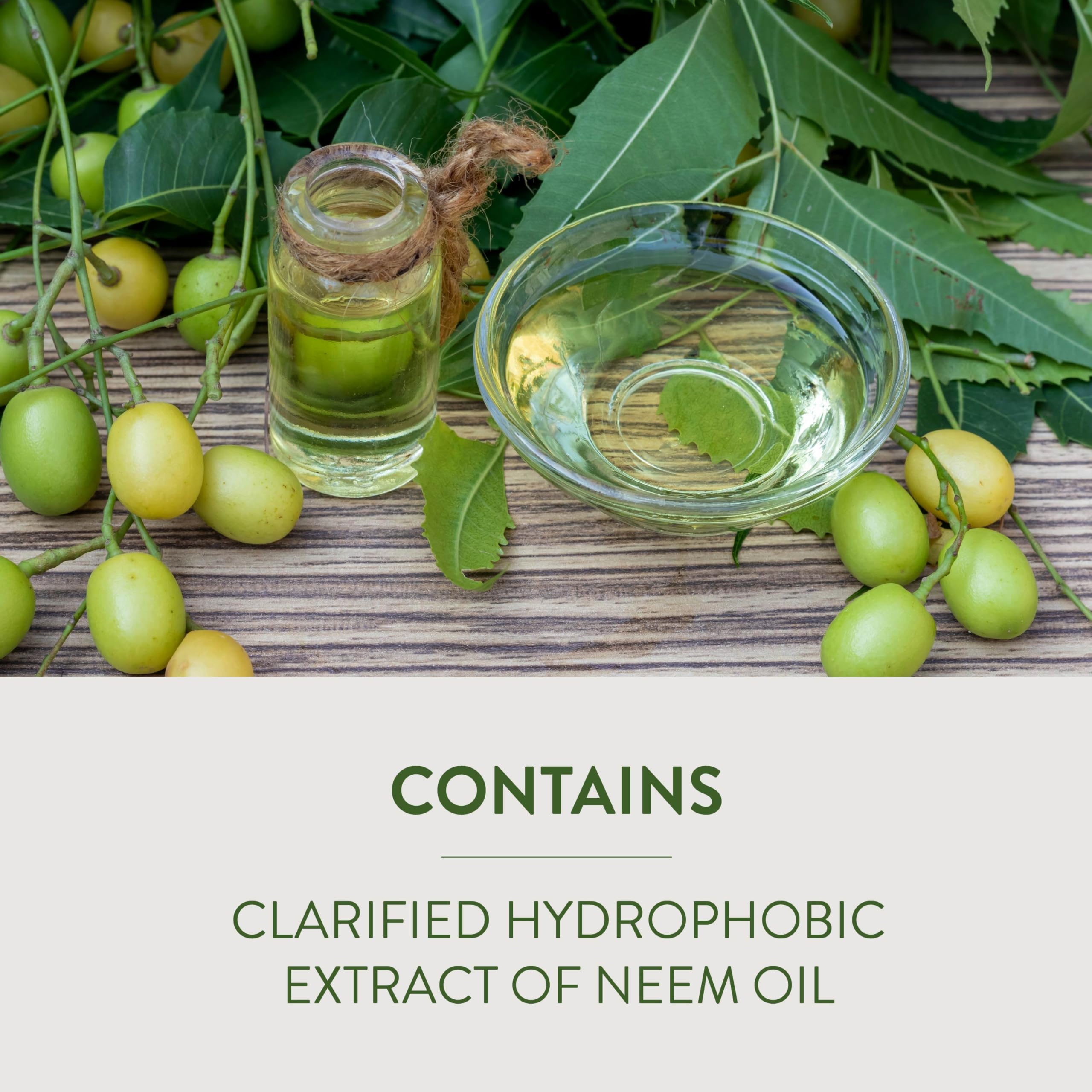 Garden Safe Neem Oil Extract Concentrate packaging details