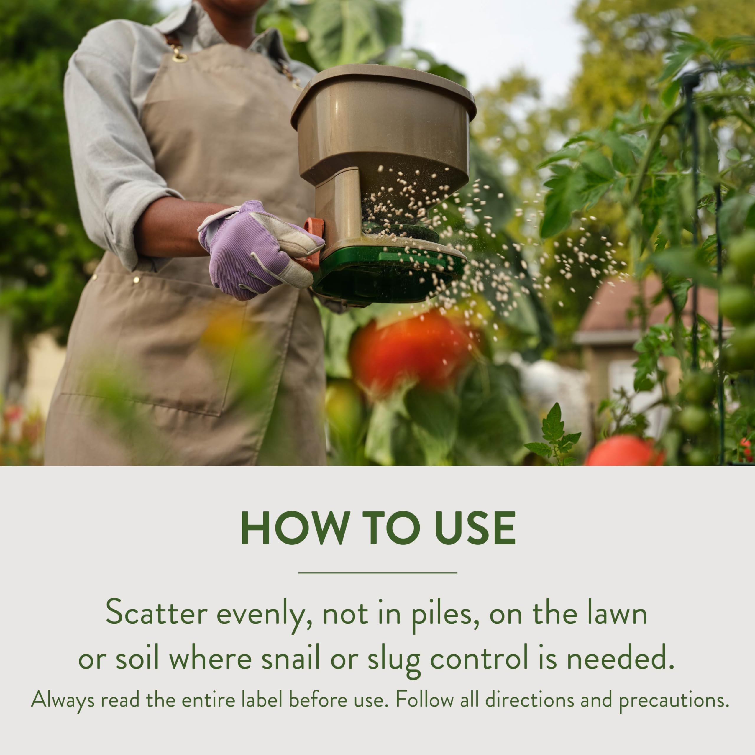 Garden Safe Slug & Snail Bait Granules on a lawn