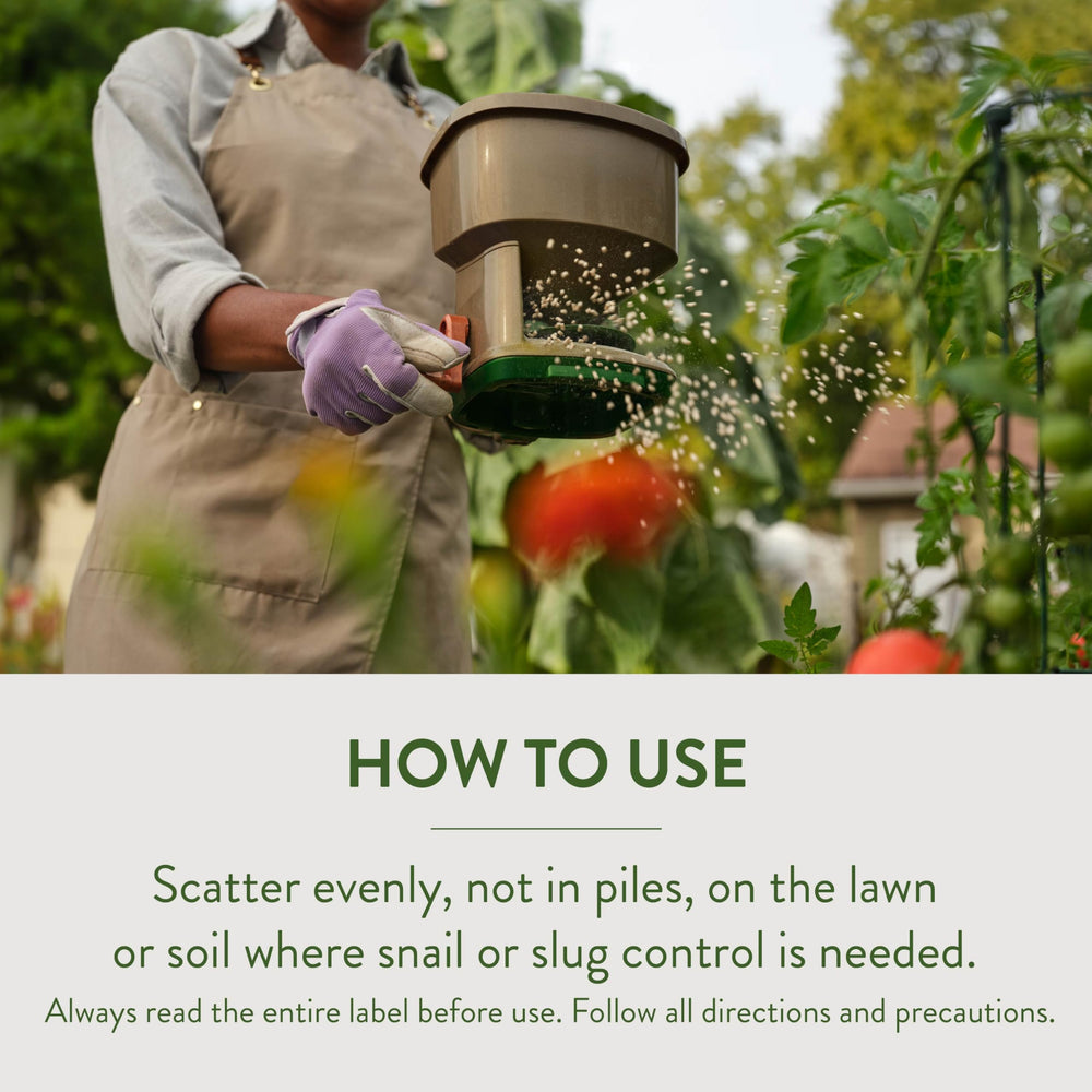 Garden Safe Slug & Snail Bait Granules on a lawn