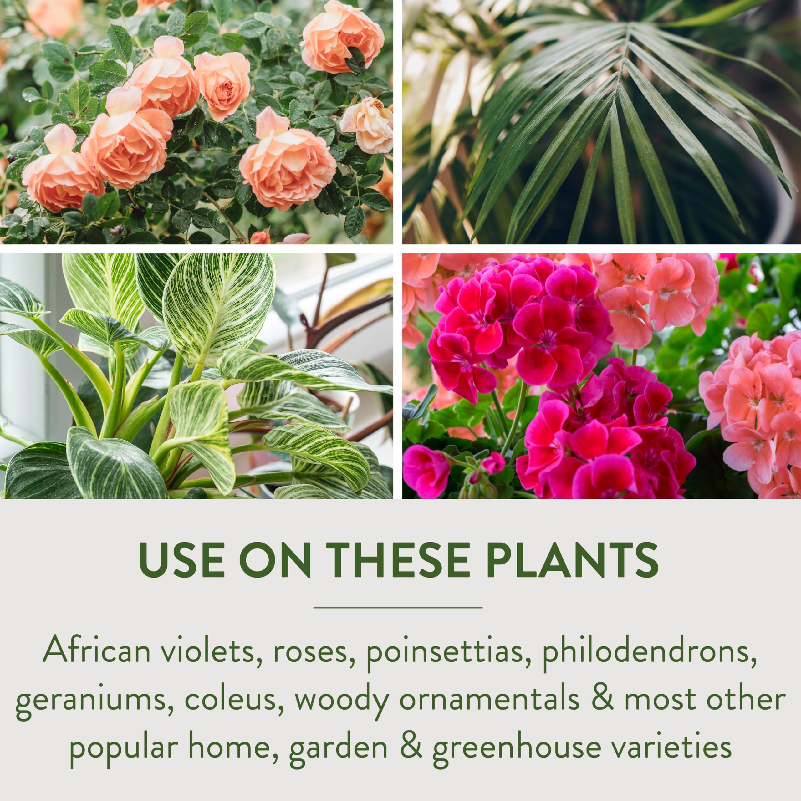 Garden Safe Take Root Rooting Hormone packaging details