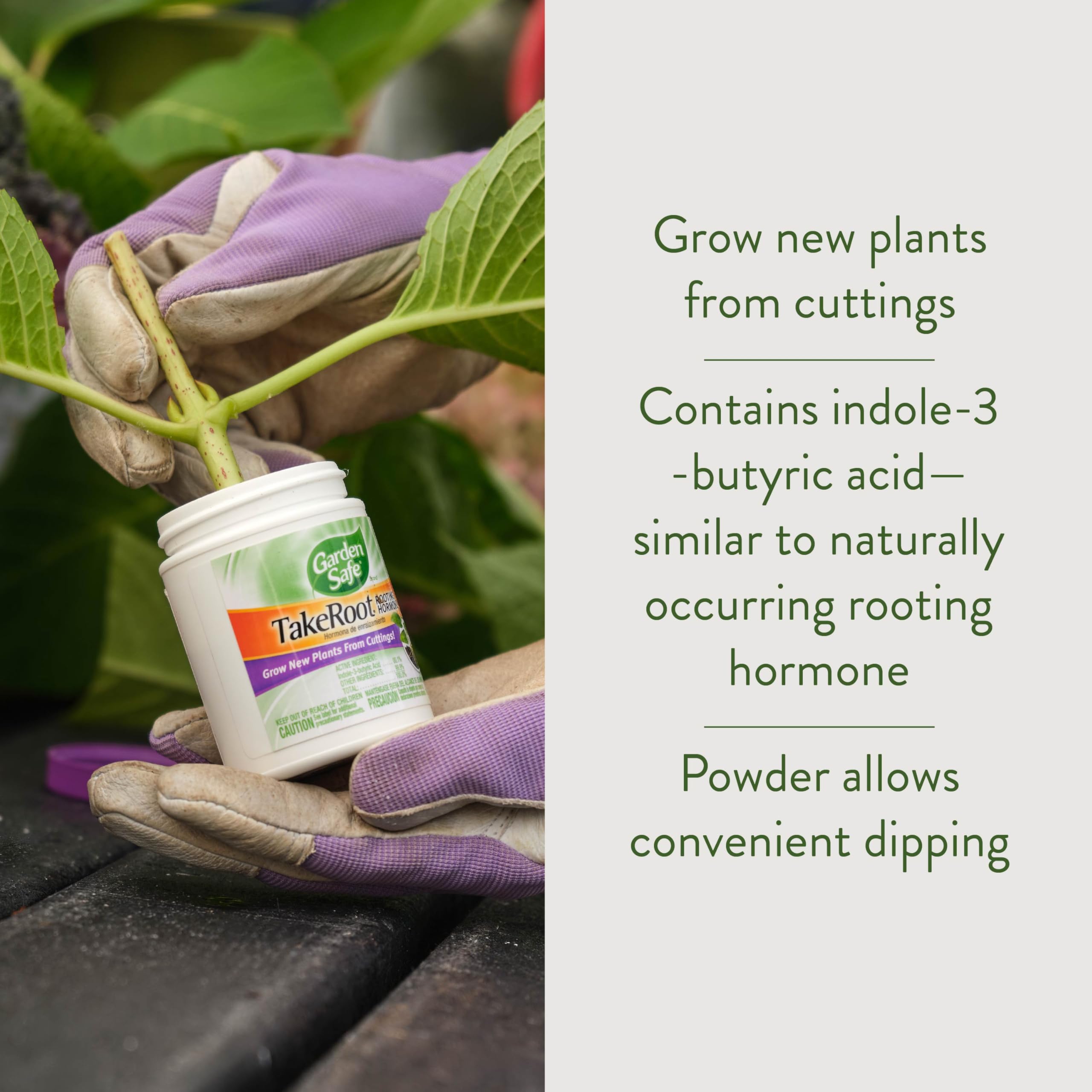 Garden Safe Take Root Rooting Hormone powder application