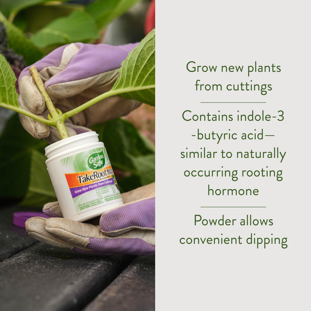 Garden Safe Take Root Rooting Hormone powder application