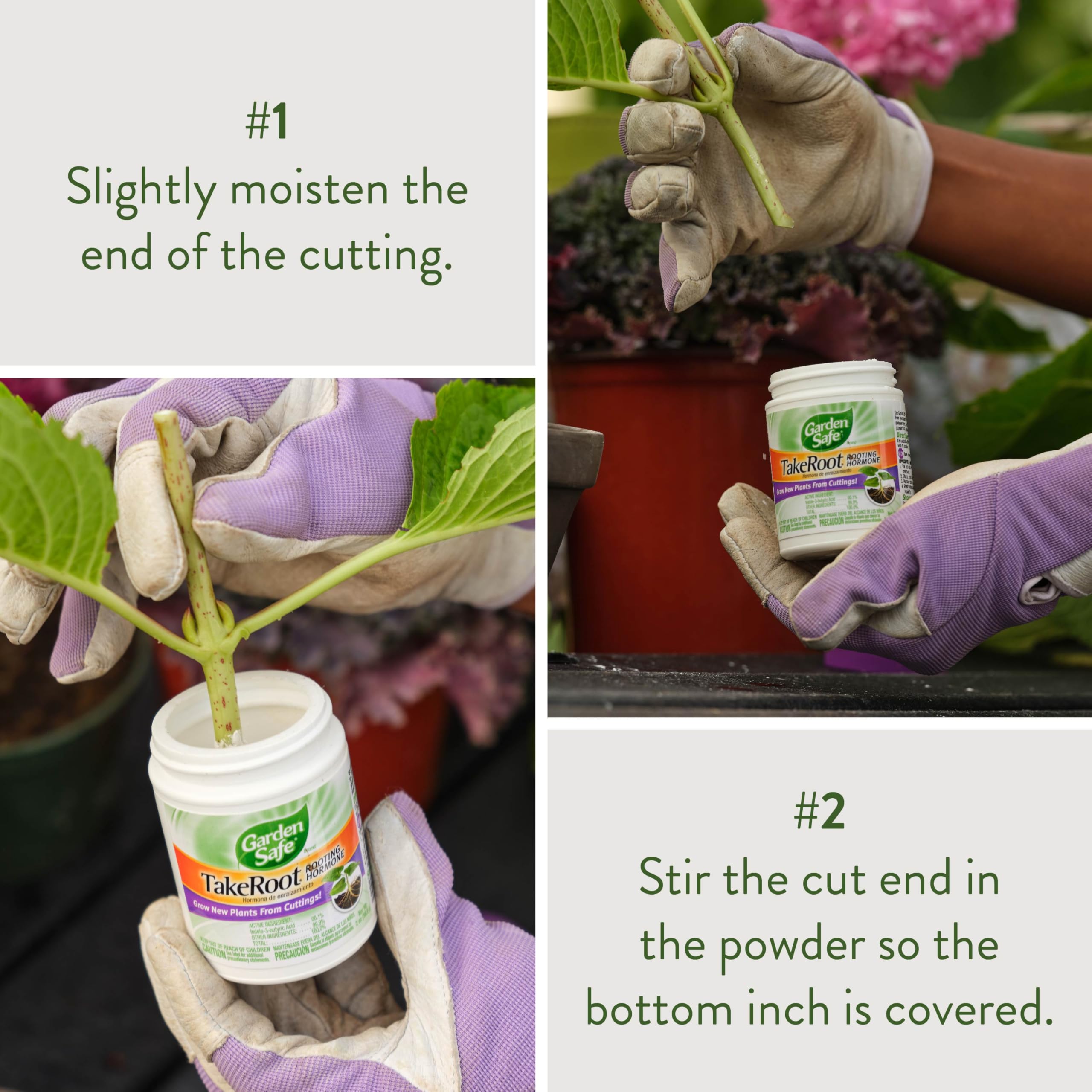 Garden Safe TakeRoot Rooting Hormone powder close-up