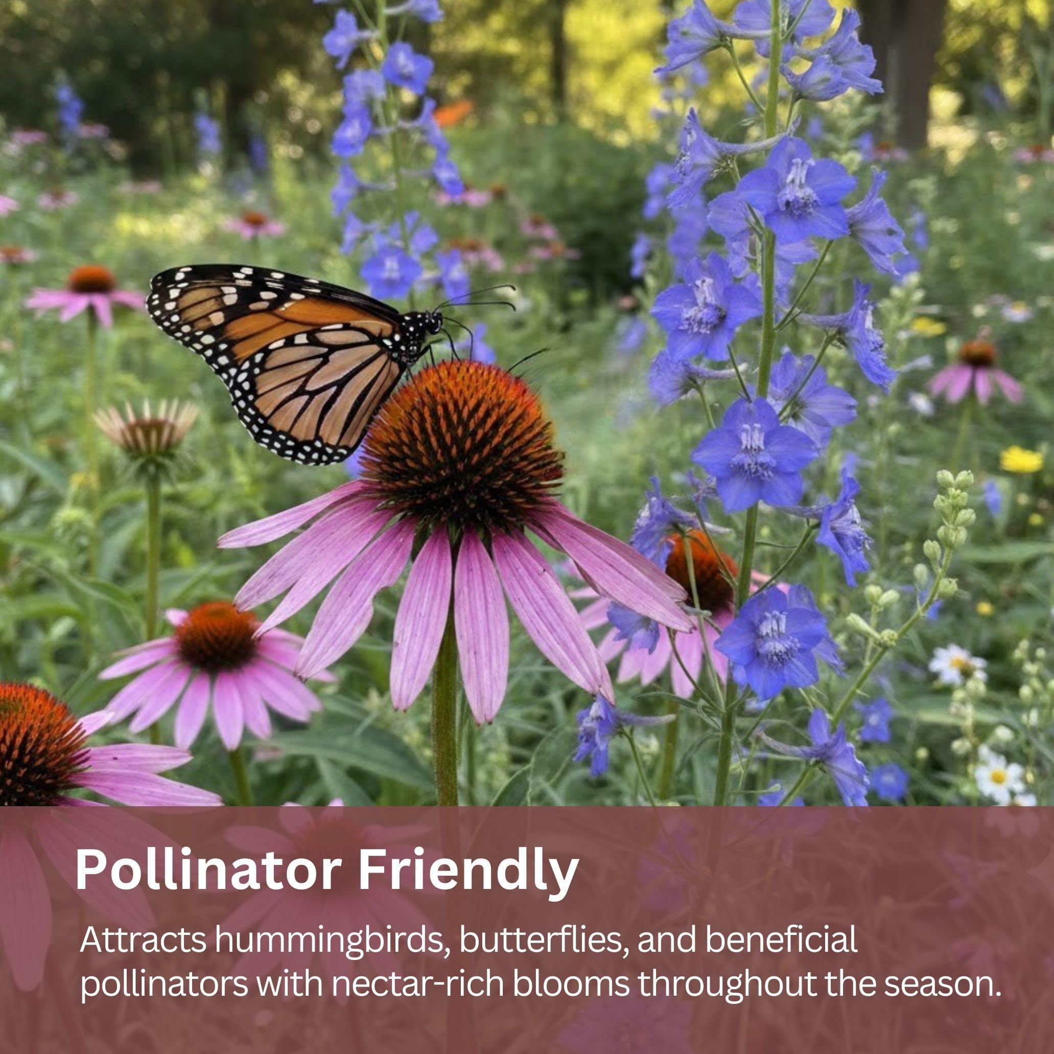 Garden scene featuring butterflies around blooming wildflowers