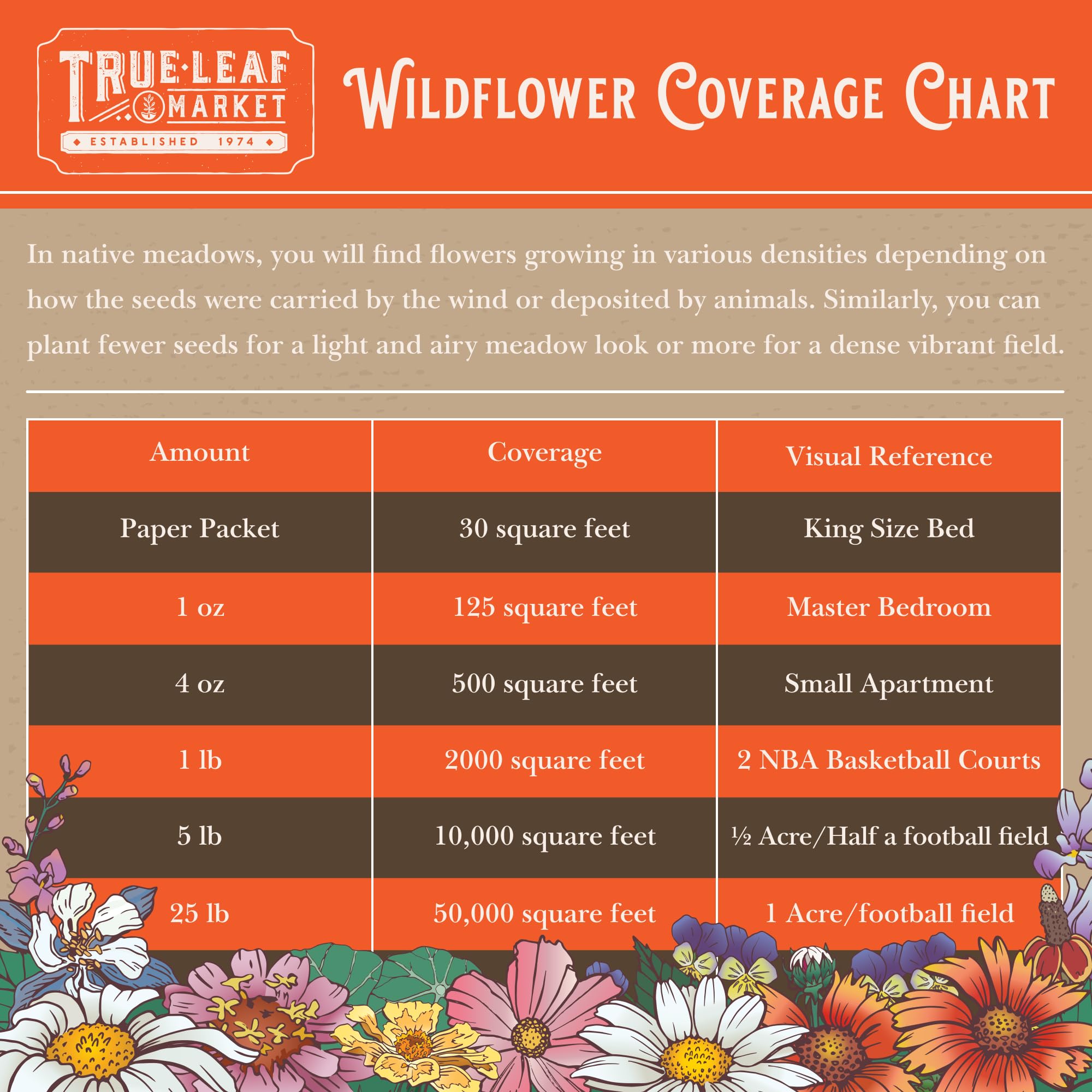 Garden scene featuring hummingbirds attracted to flowers from wildflower seed mix
